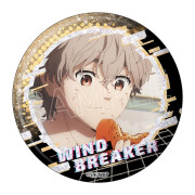 【預訂】WIND BREAKER 閃閃襟章