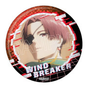 【預訂】WIND BREAKER 閃閃襟章